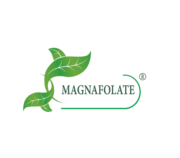 Magnafolat® nedir? Folat VS Folik Asit, Fark Nedir?
