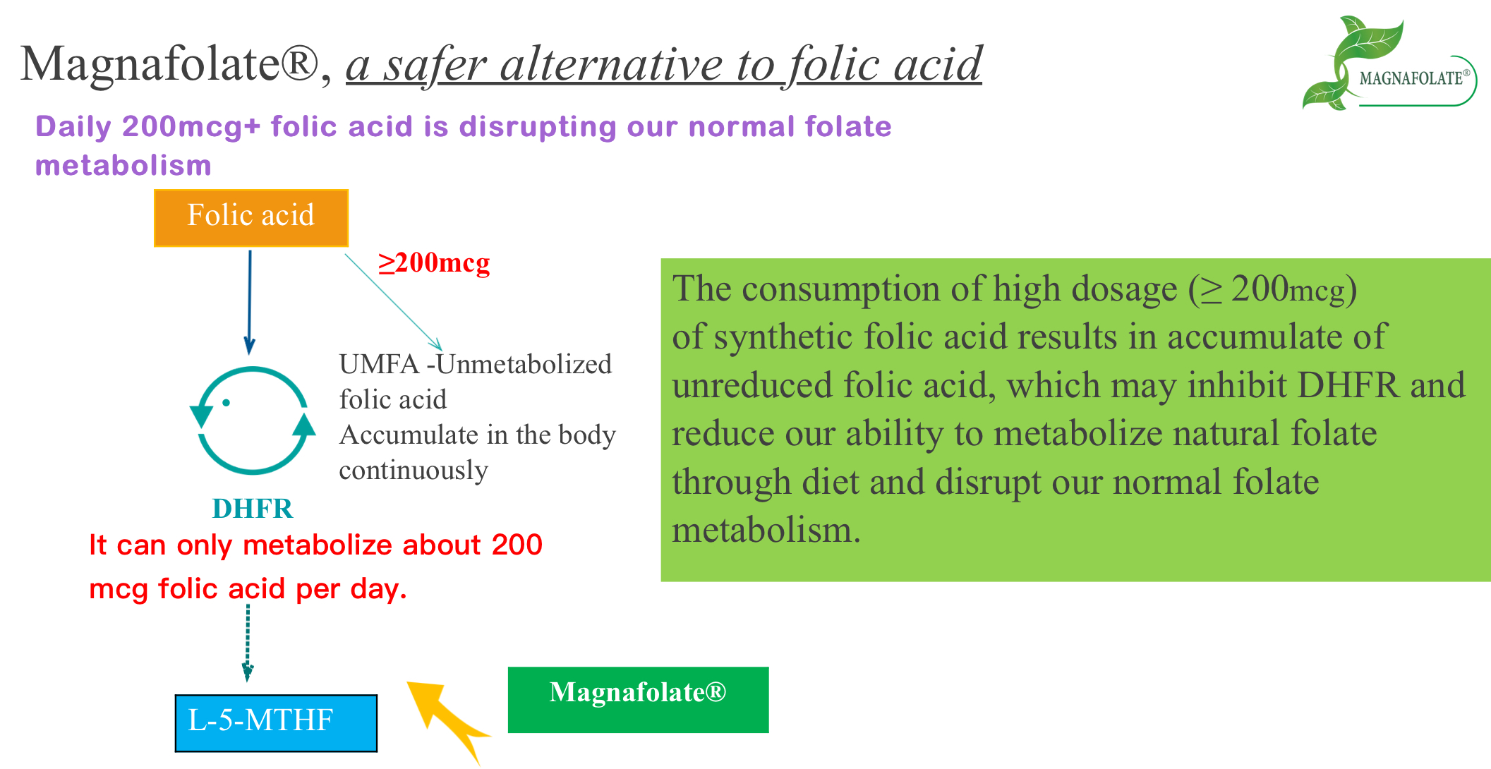 Magnafolat, Folik Asite Daha Güvenli Bir Alternatif