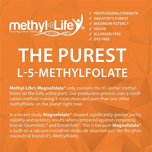 L-Metilfolat (5-MTHF) Nedir?