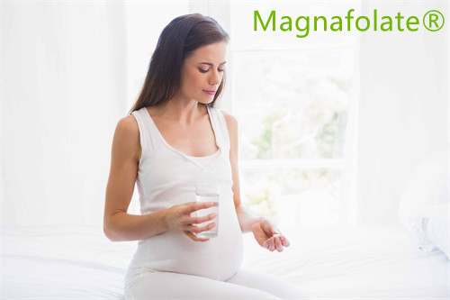 5-MTHF Hakkında Hangi Çalışmalar Gösterildi?