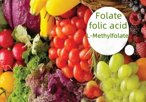 Folat (folik asit) ve L-Metilfolat