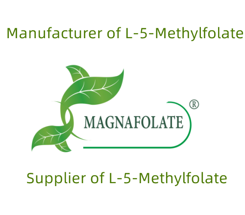 L-MetilFolat hammadde Üreticisi