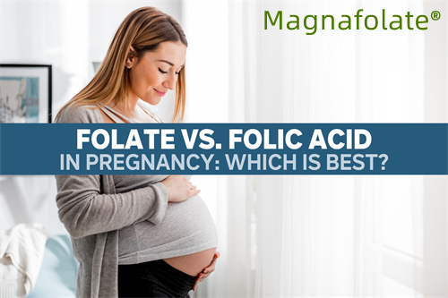 Folik asit ve L-Metilfolat nedir?