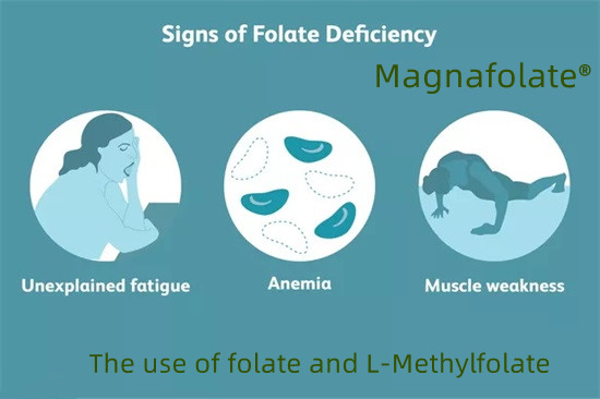 Folat ve L-Metilfolat kullanımı