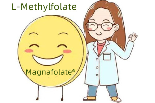 Ek folik asit ve L-Metilfolat kaynağı