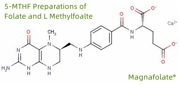 Folat ve L Metilfoalte'nin 5-MTHF Preparatları