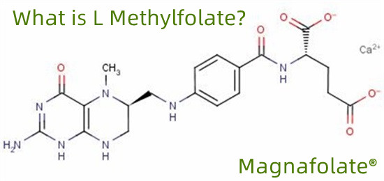 L-metilfolat nedir?