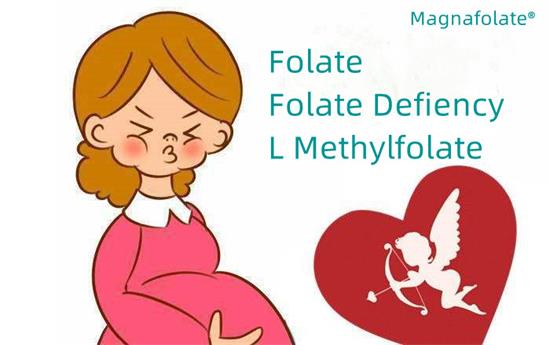 Folat ve Folat eksikliği