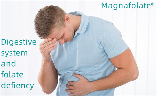 Sindirim sistemi ve folat eksikliği-Magnafolat