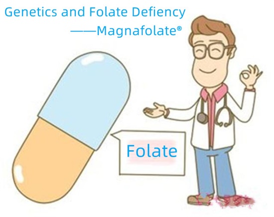 Genetik ve Folat Eksikliği-Magnafolat
