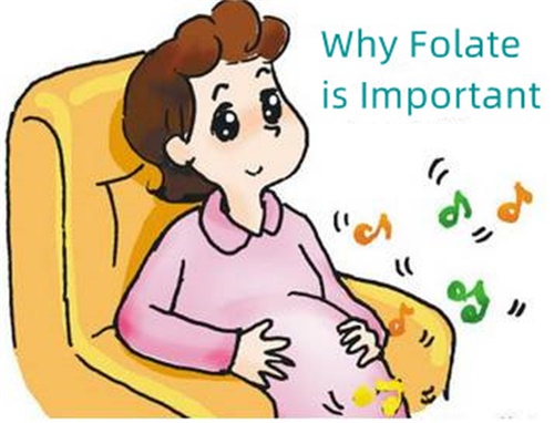 Folat Neden Önemlidir?