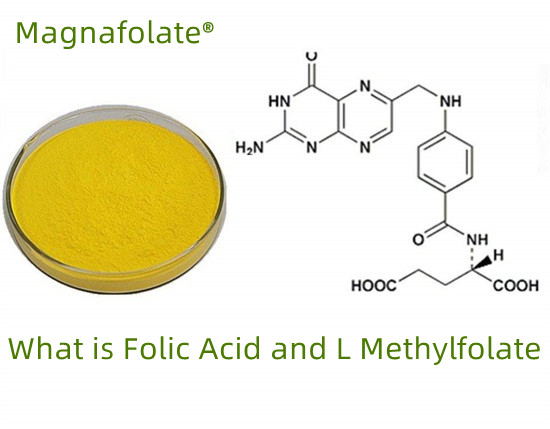 Folat VS folik asit VS L-metilfolat nedir