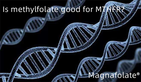 Metilfolat MTHFR için iyi midir?