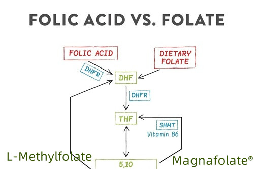 Folatın en iyi formu nedir?