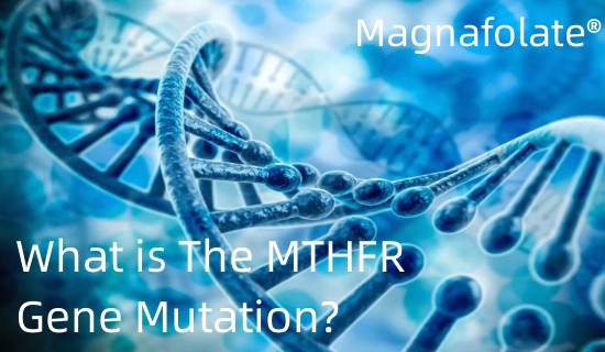 MTHFR Gen Mutasyonu Nedir?