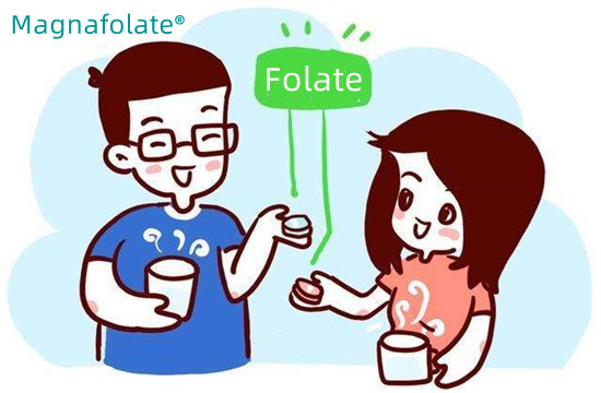 Günde ne kadar folat almalısınız?