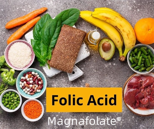 Folik asit vücudunuz için ne yapar?