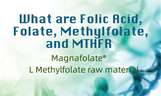 Folik asit, folat, metilfolat ve MTHFR nedir?