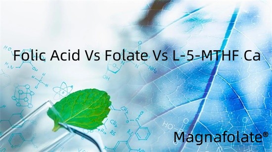 Folik Asit vs Folat vs L-5-MTHF Ca