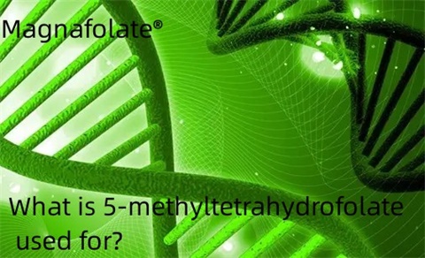 5-metiltetrahidrofolat ne için kullanılır?