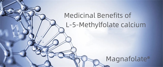 L-5-Metilfolat kalsiyumun Tıbbi Faydaları