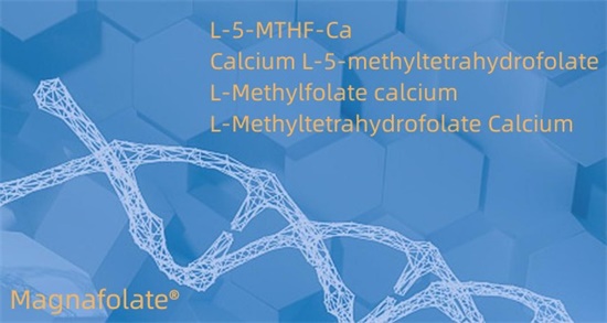Kalsiyum L-5-metiltetrahidrofolat Cas151533-22-1