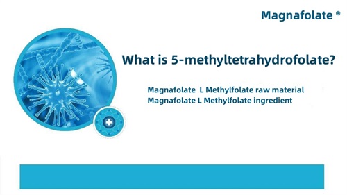 5-metiltetrahidrofolat nedir?
