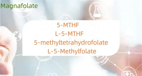 5-metiltetrahidrofolat ve folat arasındaki fark nedir?