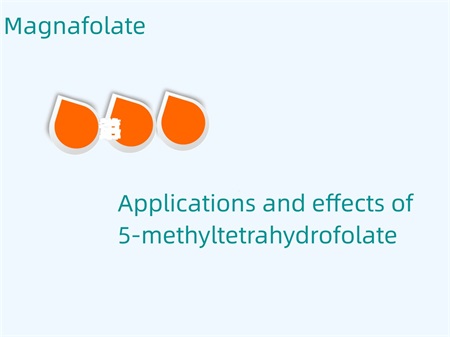 5-metiltetrahidrofolatın uygulamaları ve etkileri