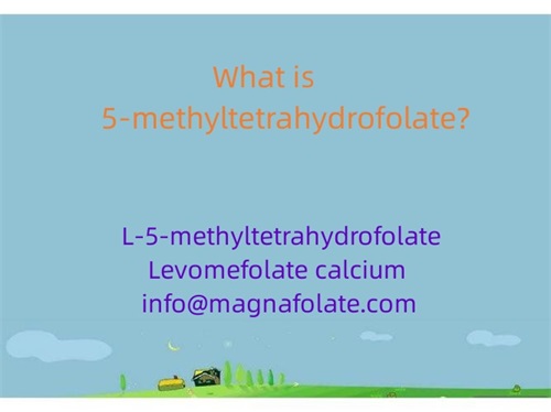 5-metiltetrahidrofolat nedir?
