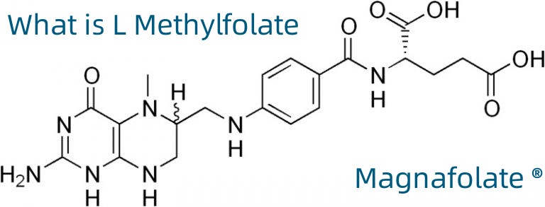 L-5-Metiltetrahidrofolat Kalsiyum CAS No.:151533-22-1