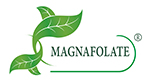 Magnafolat® VS folik asit