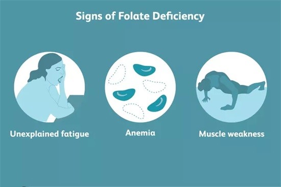 Folat nedir ve etkileri nelerdir?