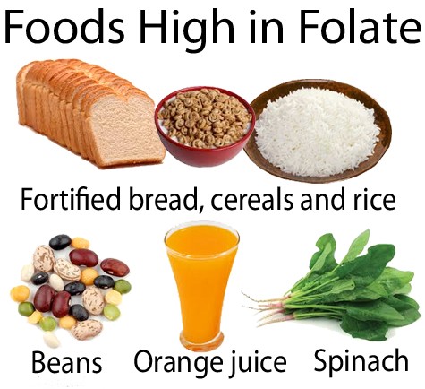 Folatın Sınıflandırılması - Diyet Folatı