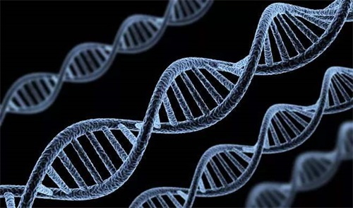 Anormal folat metabolize eden enzim genotipleri, folat metabolizma bozukluklarının ana nedenidir