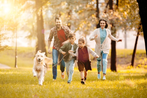 Magnafolat® nedir?