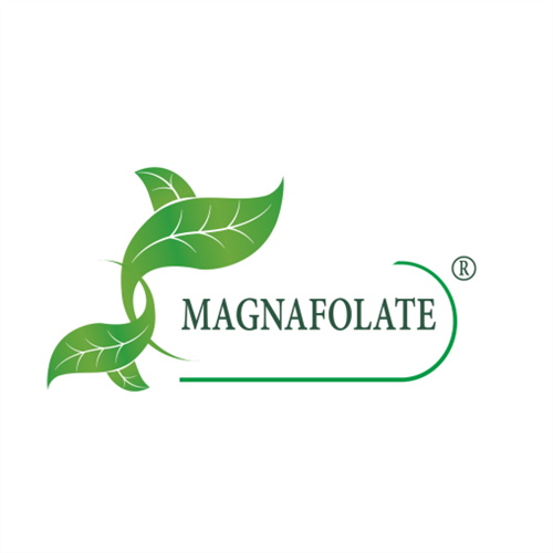 Magnafolatın Kaydı