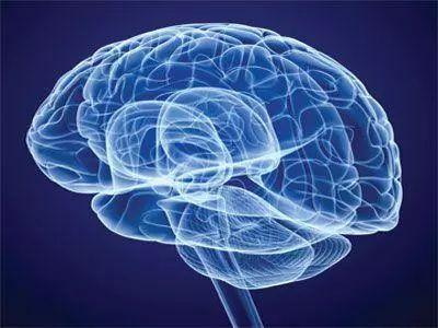 Folat sinir sistemini korur ve demans ve Parkinson'u önler