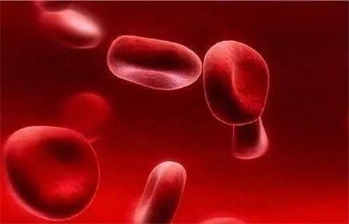 Folat eksikliği neden bağışıklık sistemi sorunlarına neden olur?